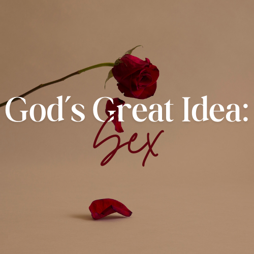 God's Great Idea : Sex Part IV