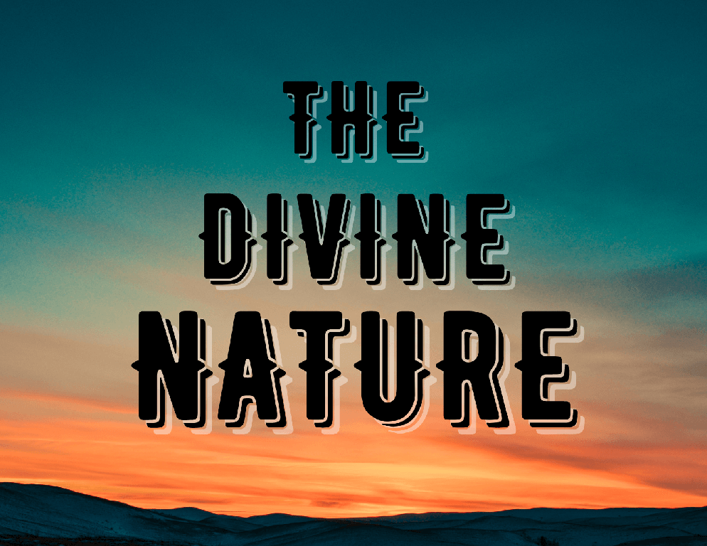 Participating in the Divine Nature